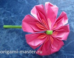 Оригами цветок георгин