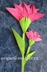  Оригами цветок гвоздика